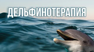 Дельфины Экстрасенсорное Исцеление и Воздействие на Нервную Систему #дельфины