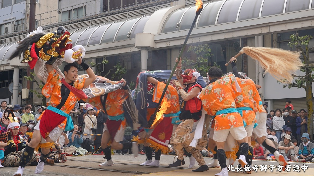 高岡獅子舞大競演会2026 北長徳寺獅子方若連中(射水市) / すえひろーど