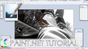 Paint.NET tutorial number 170 - Custom Depth of Field & Warm black and white photo effect