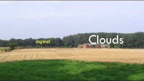 wk b yaw 11 1   Computer