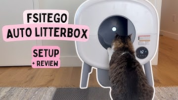 Mijn kat heeft de automatische kattenbak FSITEGO / MeowWhimsy / TAYACICY geprobeerd - dit is wat ...