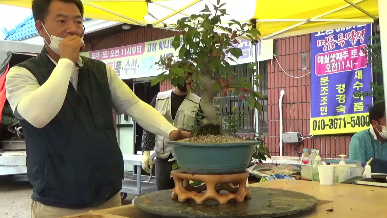 고창 예나원 경매장 21.7.4 일요경매6 #매주(토,일)오전11시경매# 010 3671 5400 고창군 고창읍 녹두로1033 HP주유소(전북대 고창캠퍼스 앞)