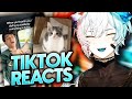 I Reacted to the FUNNIEST TikToks EVER