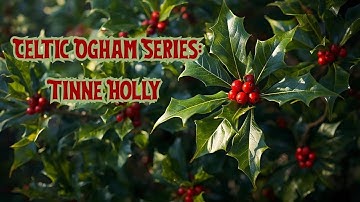 🌿 Celtic Tree Ogham: Tinne – The Holly Tree of Sacrifice & Balance 🌿🍒