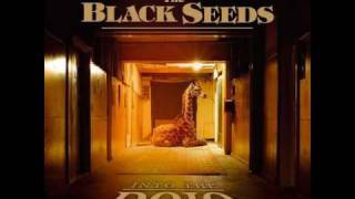 Miniatura de vídeo de "The Black Seeds - Cool me down"