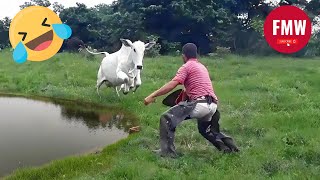 Funny & Hilarious People's Life 😂 #73 - Try not to Laugh | Funny Fails Compilation 2024