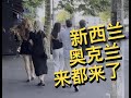 4K自制 | 新西兰奥克兰怎么玩?第三期 奥克兰City Ponsonby美食