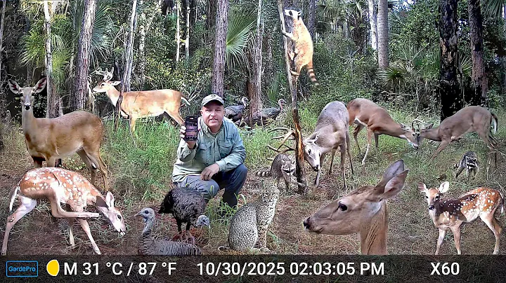 GardePro X60P Live Max Cellular Trail Camera