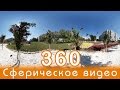 Ростов-на-Дону — Город в ЦВЕТУ (Гибискусы на Зорге) Сферическое видео