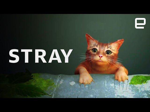 Stray, the cyberpunk cat adventure, has a lovable, believable cat hero -  Polygon