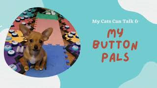 Save some for me! Talking dog is worried! by My Button Pals 76 views 11 months ago 36 seconds