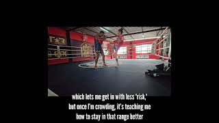 Training Insights: Sparring with and without shinpads (read free article)