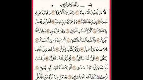 الشيخ محمد الغزالي يتلو ما تيسر له من سورة القيامة