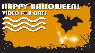 Cat Games - Happy Halloween! Video For Cats To Watch.