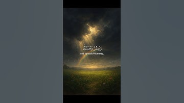 سورة الشورى الآية 28 القارى ياسر الدوسري #قرآن #quran #اكسبلور #المصحف #لايك #راحة_نفسية #قران_كريم