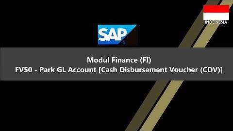 SAP FV50 - Park GL Account
