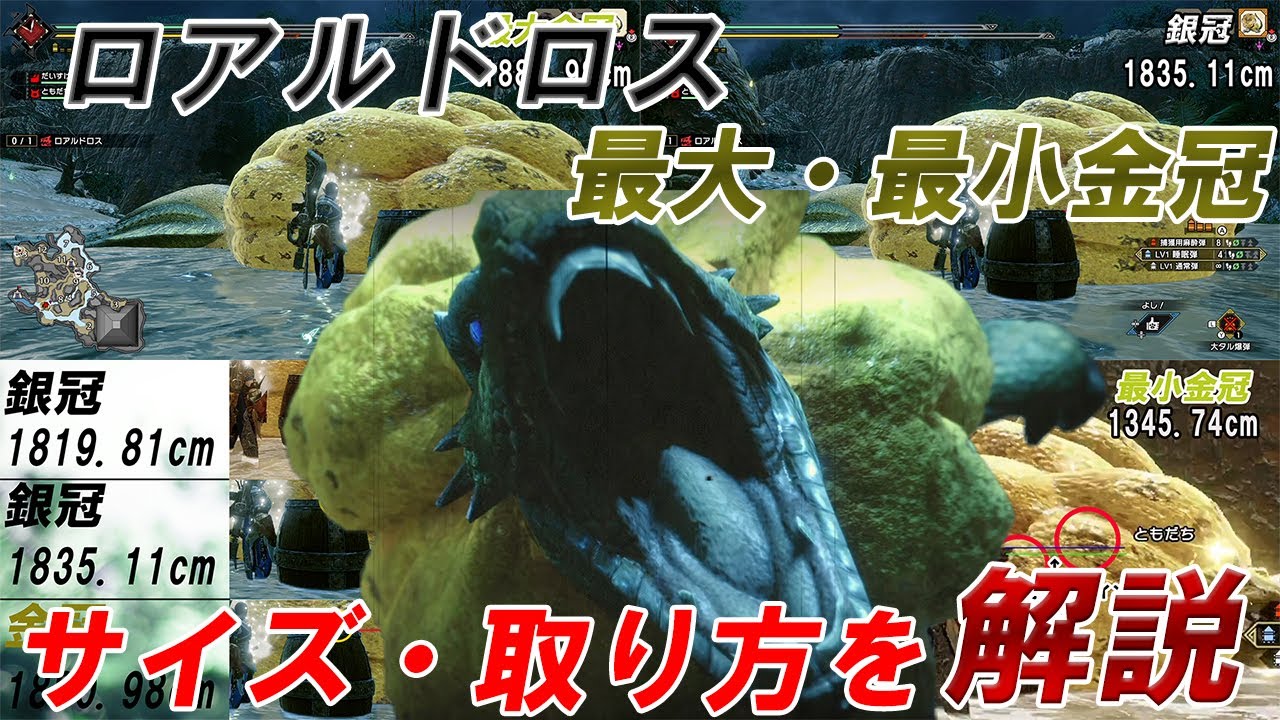 最大金冠 ロアルドロス 最小金冠 サイズ詳細 解説付き モンスターハンターライズ 金冠集め Mhrise 金冠 Youtube 最大金冠 ロアルドロス 最小金冠 サイズ詳細 解説付き モンスターハンターライズ 金冠集め Mhrise 金冠 Youtube