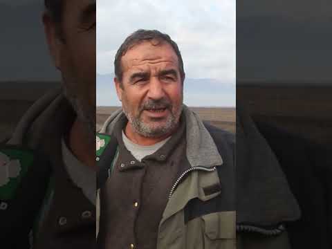 بعد عشر سنوات مزارعوا قبرفضة في سهل الغاب يستأنفون نشاطهم