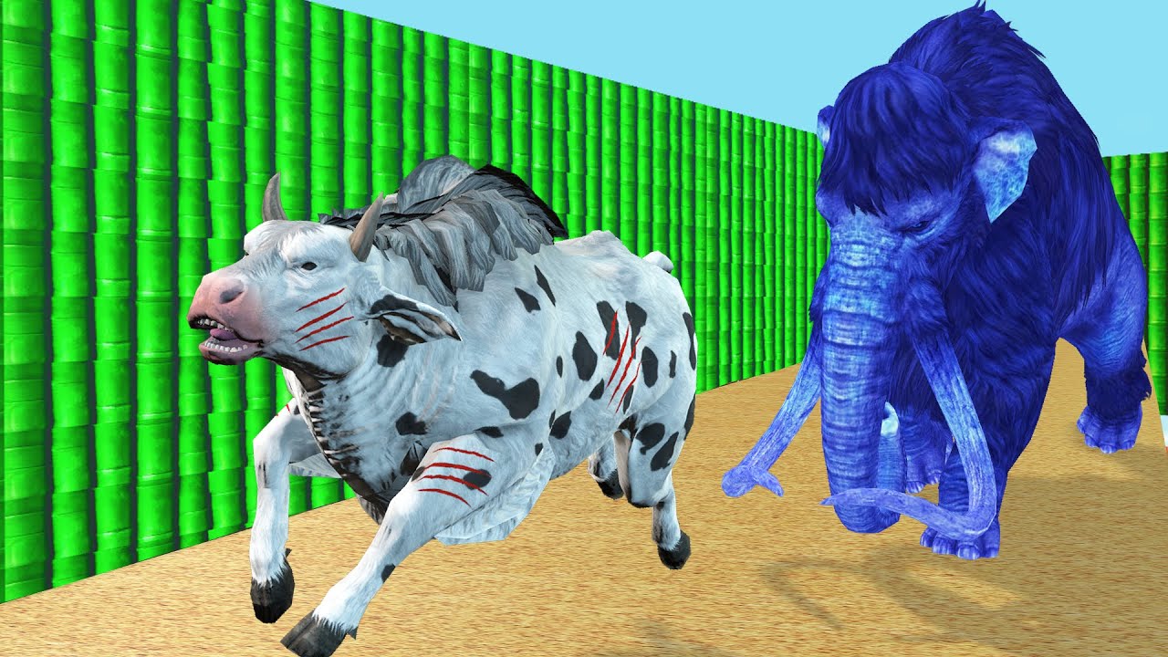 Woolly Mammoth Vs Giant Buffalo Escape Form Bamboo Maze | African Elephant Turns into Zombie Mammoth