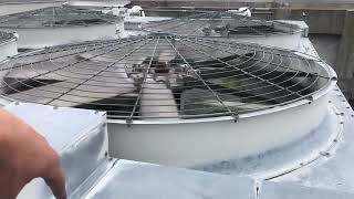 4 Cooling Tower Cells on Roof of DC Office Building
