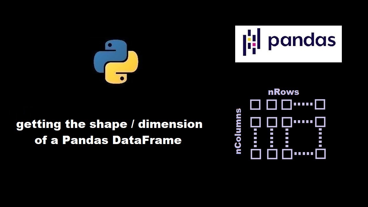 Get the shape / dimension of a pandas DataFrame YouTube