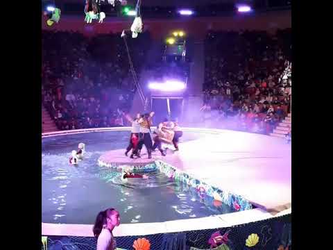 Video: Zirkus In Karaganda