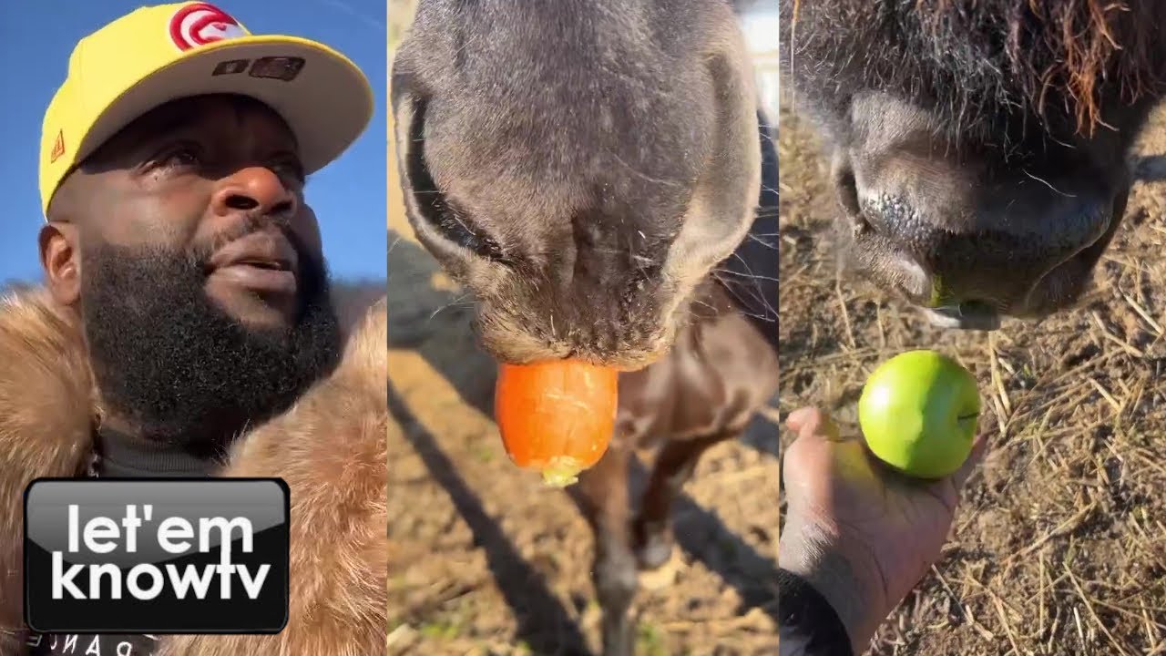 Rick Ross Rocking An Amazing Piece As He Feed His Buffaloes And Horses