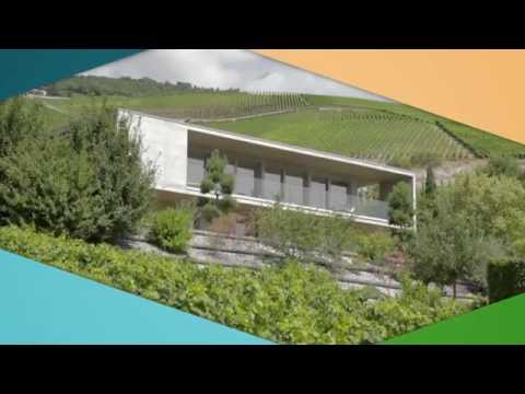 Vidéo: Chambre de jardin contemporaine construite sur un budget strict par Capital A Architecture