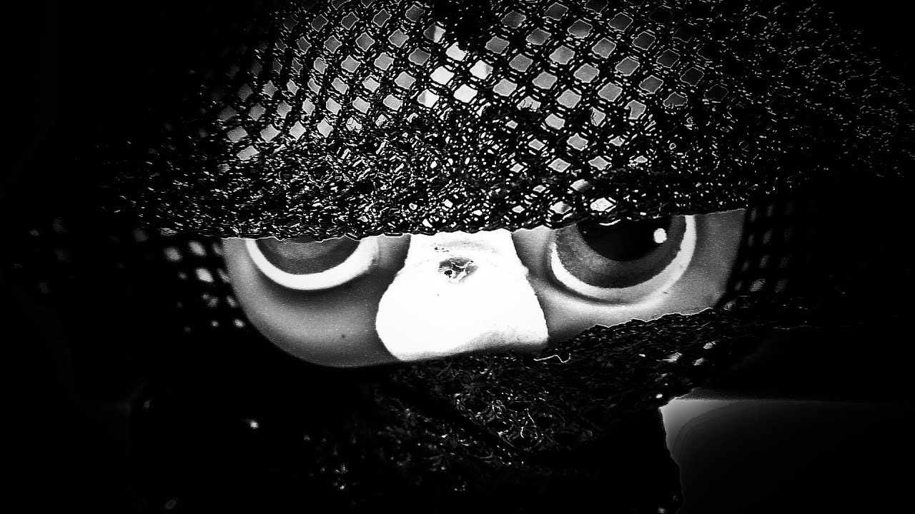 Littlest Pet Shop High School SeriesThe Girl In The Hoodie Episode 1