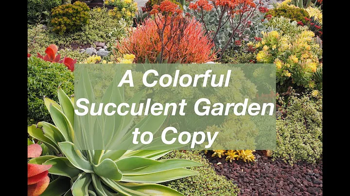 A Colorful Succulent Garden to Copy