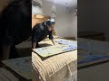 Trabajando en un rompe cabezas muy difícil de armar