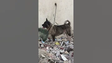 انا عندى اخ واقف فى ظهرى 