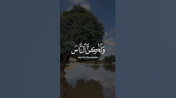 إن الله لا يظلم الناس شيئا | تلاوة خاشعة | تلاوة هادئة تريح النفس