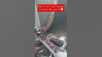 Này thì cứ rỉ nước này,dẹp lun đi tốn tiền quá rồi 😭 #viralvideo #trending #xuhuong #viral #funny