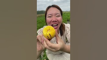 Farm Fresh Fruit - Amazing Fruit Video - Yummy Fruits And Vegetables - Fruit Recipe #24