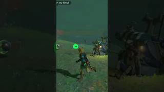 YAHAHA Day 135 of Helping Koroks - Zelda TOTK
