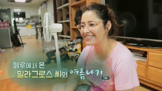 [하모니] 페루에서 온 밀라그로스 씨의 여름나기 - 1부 / 연합뉴스TV (YonhapnewsTV)