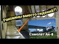 Зачем в самолёт Ан-2 устанавливали сиденья, похожие на раковины? Отвечает авиатехник