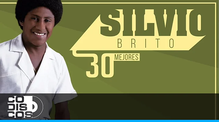 Llegaste A Mi, Silvio Brito - Audio