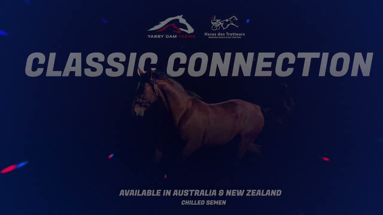 Classic Connection available to Australian & New Zealand Breeders in 2025