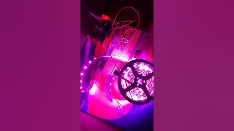 Control a led strip with a Raspberry Pi
