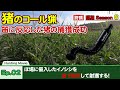 【猟期 シーズン 6】Ep02 猪のコール猟!イノシシ笛で誘引し射獲する!【猪】【鹿】【コール猟】【銃猟】【狩猟】