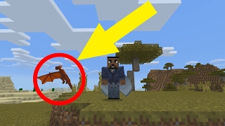 How to Find a Dragon in Minecraft Pocket Edition (Minecraft Addon/Win10) screenshot 3