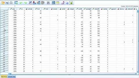 SPSS Taking a Random Sample