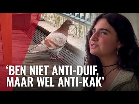 Video: Hoe zich te ontdoen van duiven op het balkon: tips