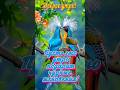ДОБРОЕ УТРО доброеутро хорошегодня сдобрымутром хорошегонастроения открытка длятебя мир ДОБРОЕ УТРО доброеутро хорошегодня сдобрымутром хорошегонастроения открытка длятебя мир