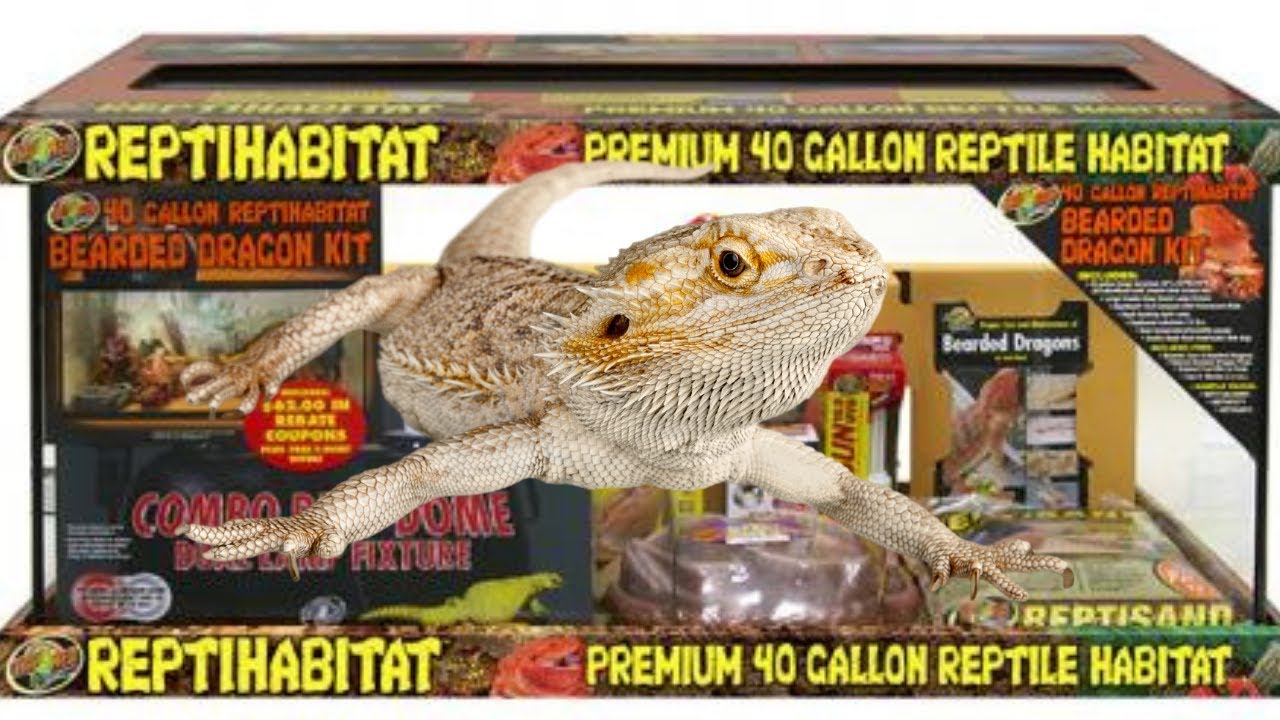 New Reptile Cage Set Up Pet Poop Car Crisis Petsmart Run YouTube