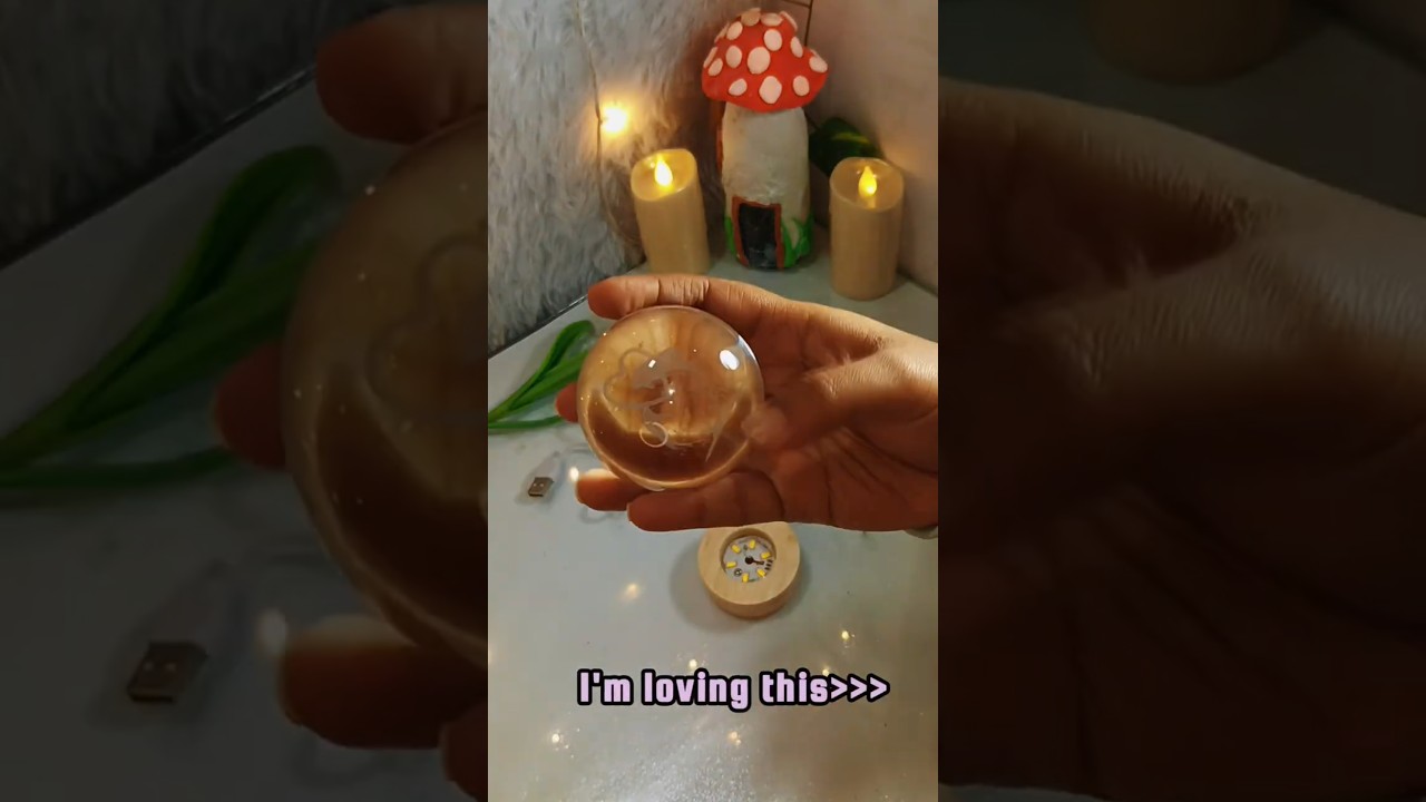 Meesho Couple Gifts Under ₹170 💑 | Budget-Friendly Ideas to Decorate Your Garden    