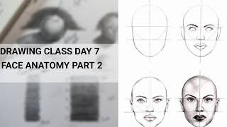 Drawing class day 7! Face anatomy by easy way for Beginners!#art#drawing #tutorial