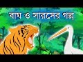 The tiger and the stork | The tiger and bone story